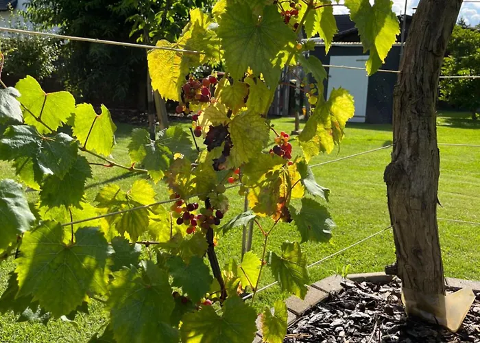 דירה Casalino Di Anna 2 *