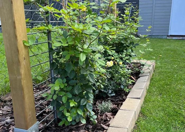 דירה Casalino Di Anna 2 אורניינבורג